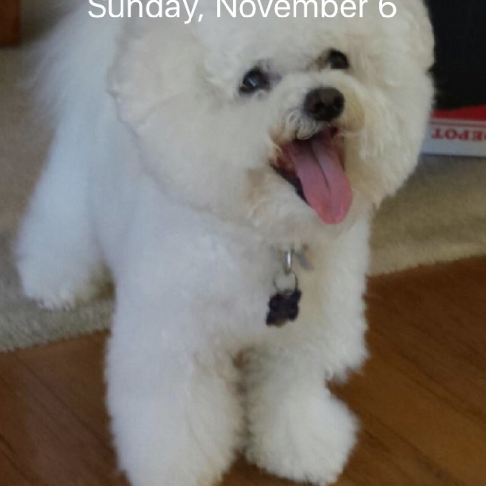 Meet your Posher, Kay